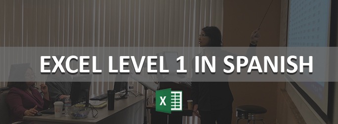 Excel Level 1 in Spanish