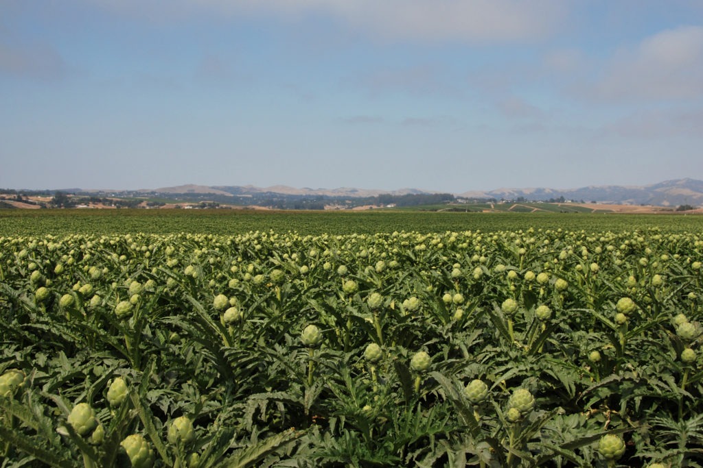 training in Castroville, Castroville, California