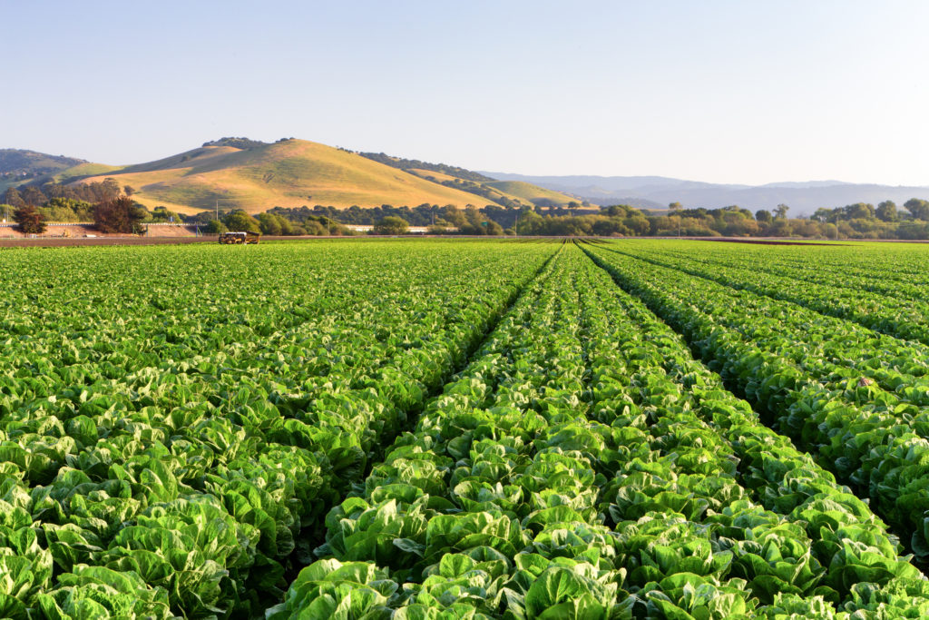 training in Salinas, Salinas, California